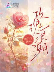 玫瑰潮夕