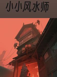 风水小宗师百度百科