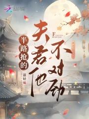 半路抢的夫君他不对劲结局