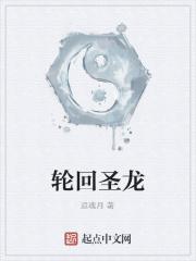 轮回圣龙诀