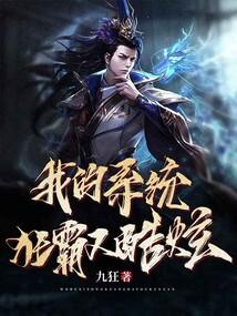 我的系统狂霸又酷炫百科