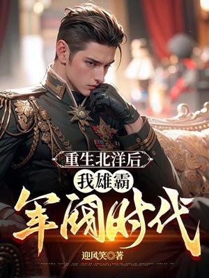 重生北洋后我雄霸军阀时代第二部