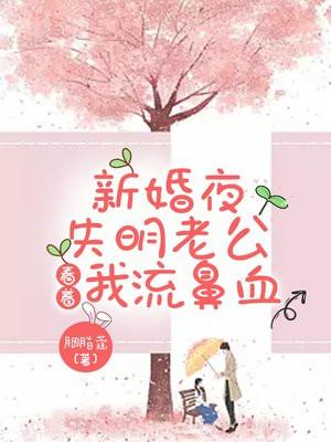 失明老公看着我流鼻血免费阅读