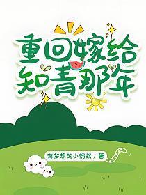重回嫁给知青那年讲的什么