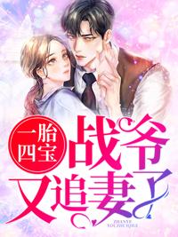 这部书名一胎四宝