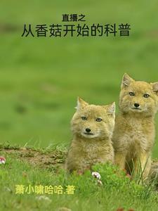 香菇脆直播术语 香菇脆直播术语