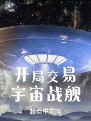 开局交易宇宙战舰百科