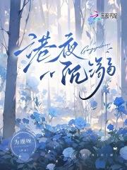 港夜沉溺TXT百度