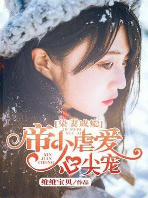 染婚成爱陆少蜜宠甜妻