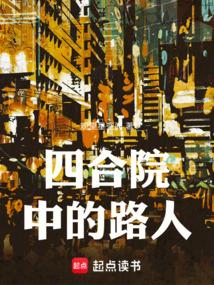 四合院中的路人甲