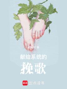 献给系统的挽歌歌词