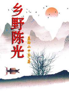乡村野光?