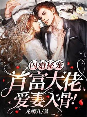 闪婚首席总裁太腹黑