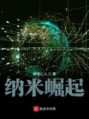 纳米崛起一样的
