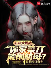 你家菜刀能削航母?TXT