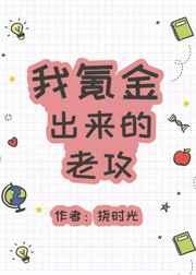 我氪金出来的老攻 挠时光