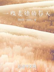 麦穗图片