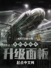 我的物品有升级面板 第501章