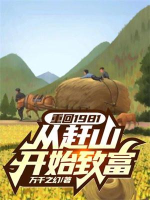 重回1981从退婚开始