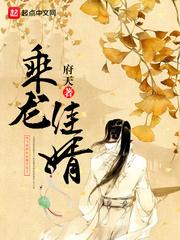 乘龙嘉婿还是乘龙佳婿