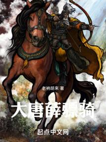 大唐薛骠骑笔趣阁免费阅读