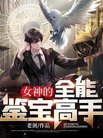 女神的全能鉴宝高手免费阅读