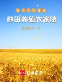 重回1999开农场