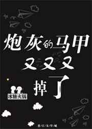 炮灰的马甲又又又掉了(穿越)