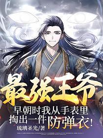 最强王爷早朝时我从手表里掏出一件防弹衣红昭