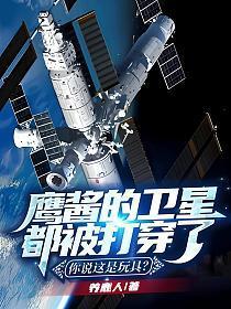 你说这是玩具?TXT