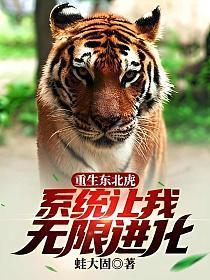 系统让我无限进化 (蛙大固)