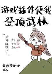 游戏插件使我武林登顶