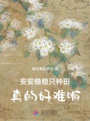 安安稳稳意思解释