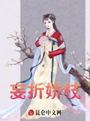 妄折娇枝放鹤山人txt