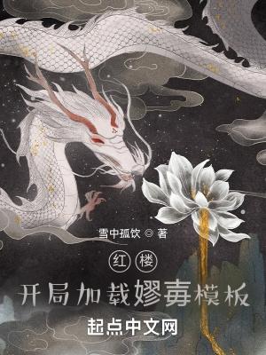 红楼开局加载嫪毐模板作者雪中孤饮 红楼开局加载嫪毐模板作者雪中孤饮
