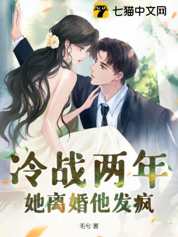 她离婚他发疯 作者 毛兮