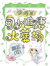 退婚后司少追妻火葬场完结篇