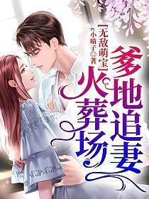 萌宝无敌总裁爹地追妻难