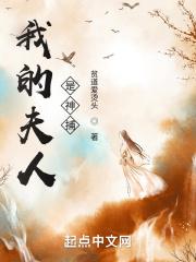 我的夫人是神捕境界划分