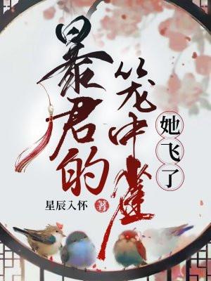 暴君的笼中雀久久网