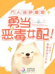 万人迷萨摩耶