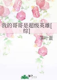我的哥哥是超级英雄[综