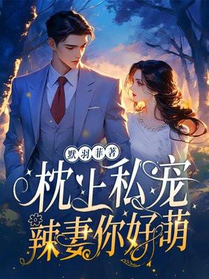 枕上婚宠之辣妻太撩人