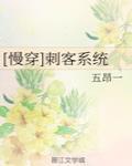 慢穿刺客系统百度