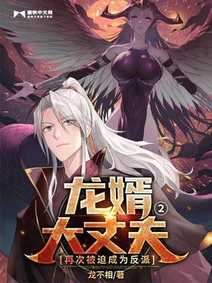 龙婿大丈夫简介