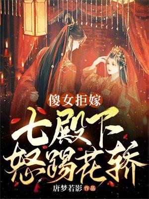 七殿下怒踢花轿无删减
