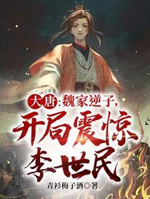 穿越大唐之魏王 穿越大唐之魏王