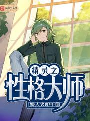 精灵之性格大师PPT