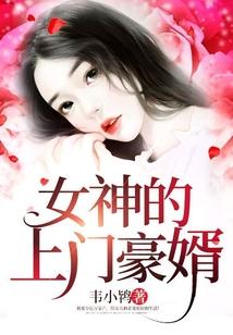 女神的上门豪婿赵旭全文阅读