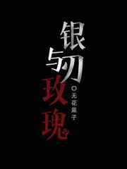 银刃与玫瑰讲了什么